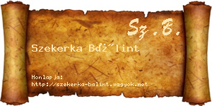 Szekerka Bálint névjegykártya