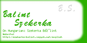 balint szekerka business card